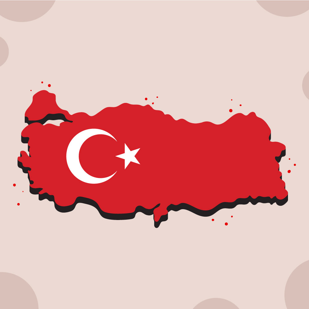 The Strategic Importance of Turkey in International Logistics
