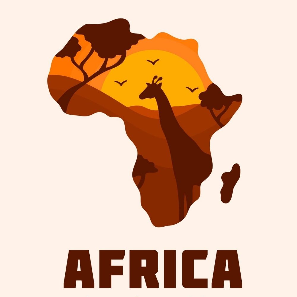 Prominent African Ports in Container Transportation