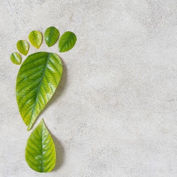 Methods to Reduce Carbon Footprint: Steps Towards a Greener Future