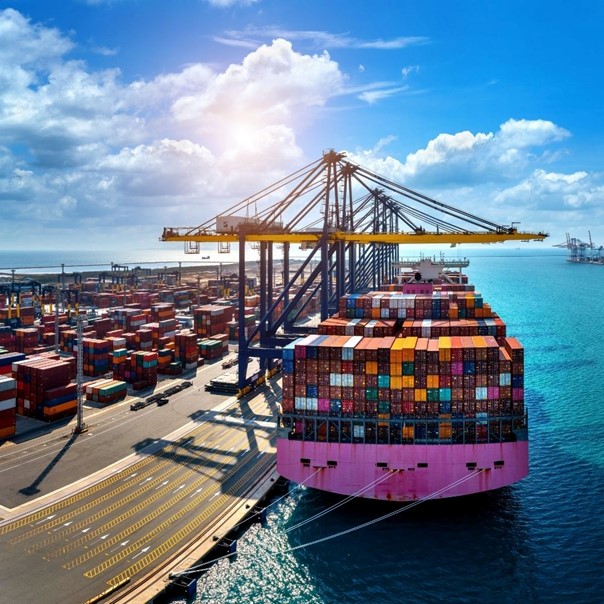 Mersin to Alexandria Shipping: Types and Cut-Off Times