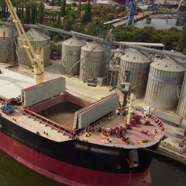 Dry Bulk Market Commentary March 11-15, 2024