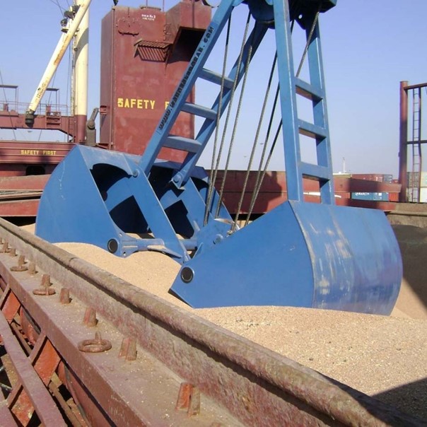 Dry Bulk Market Commentary March 18-22, 2024