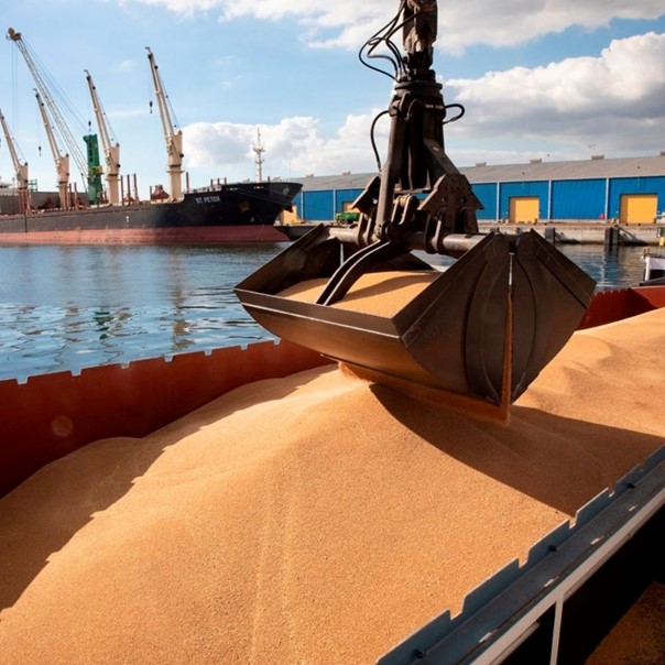 Dry Bulk Market Commentary March 25-29, 2024