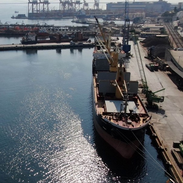 Efesanport: The Robust Structure of a Modern Port